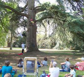 photo compagnie des arbres